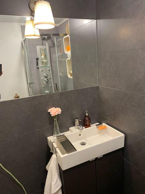 Renovado Com Ac, 2 Wc Completos, Terraco E Garagem Lejlighed Porto Eksteriør billede